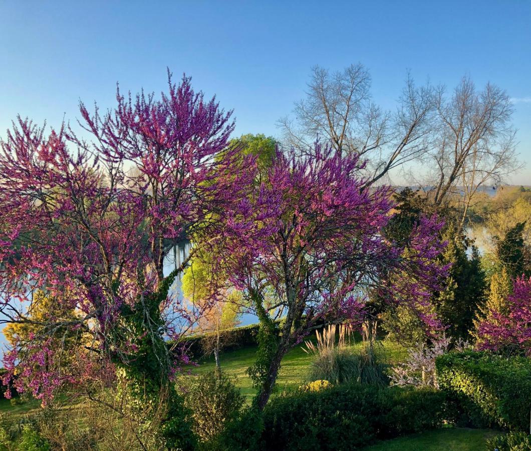 La Suite A Chateau Franc Daut Saint-Magne-de-Castillon Ngoại thất bức ảnh